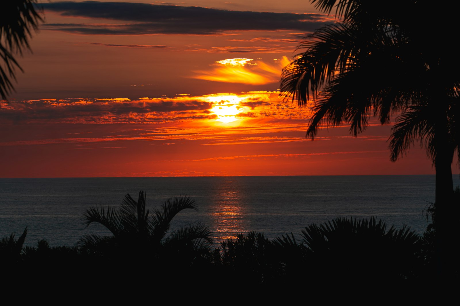 Sri Lankan coastline at golden sunset, dramatic orange sky, calm ocean, silhouetted palm trees, atmospheric dusk