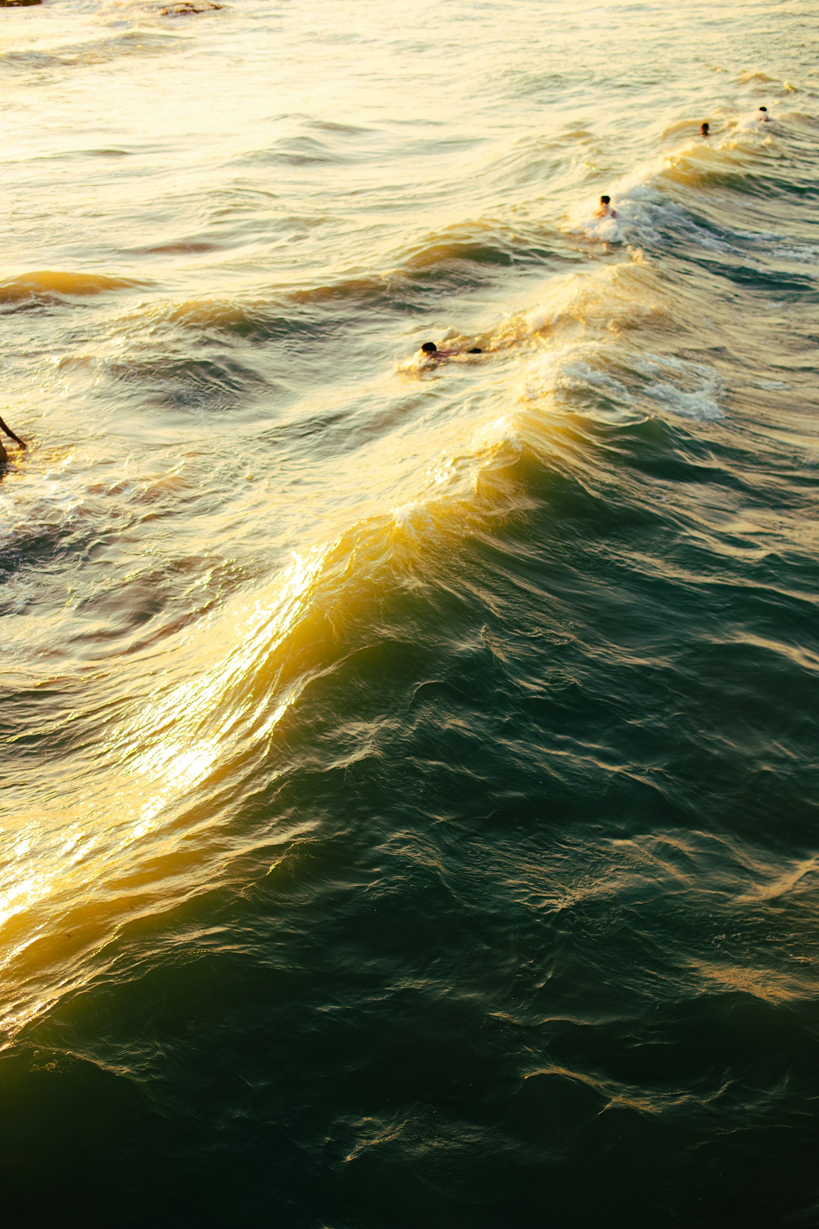 Surfer riding wave at Arugam Bay Sri Lanka, turquoise ocean, tropical beach, golden light